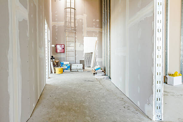 Best Drywall Sanding and Smoothing  in Lecanto, FL